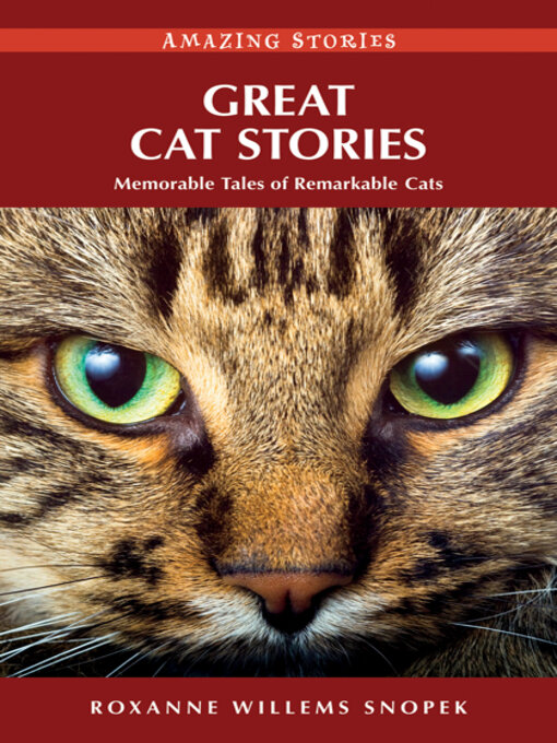 Cover image for Great Cat Stories